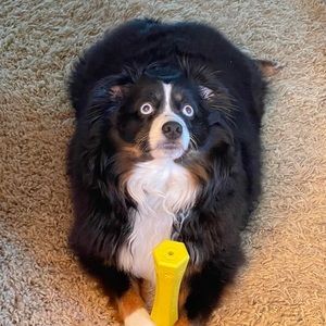 Meet your Posher, Eveline